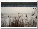 DSC00088~0.jpg