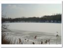 DSC00090~0.jpg
