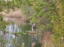 Zavody_2015_004.jpg
