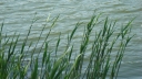Název souboru=zavody_2009_088.jpg
Velikost souboru=164KB
Rozměry=1024x576
Datum přidání=04. Duben 2015 zavody_2009_088.jpg